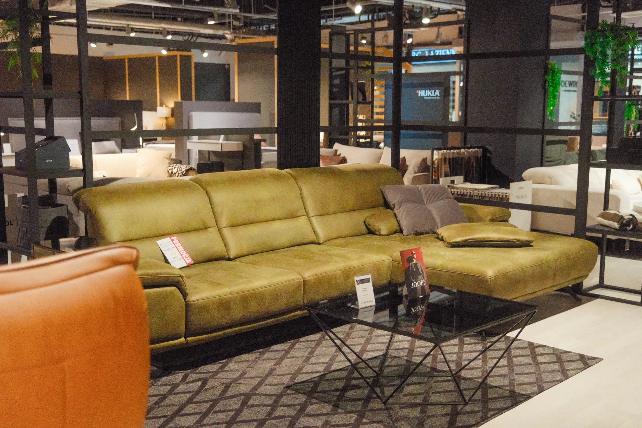 Sofa modułowa w otoczeniu roślin i regałów